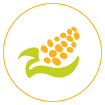 Icon-corn